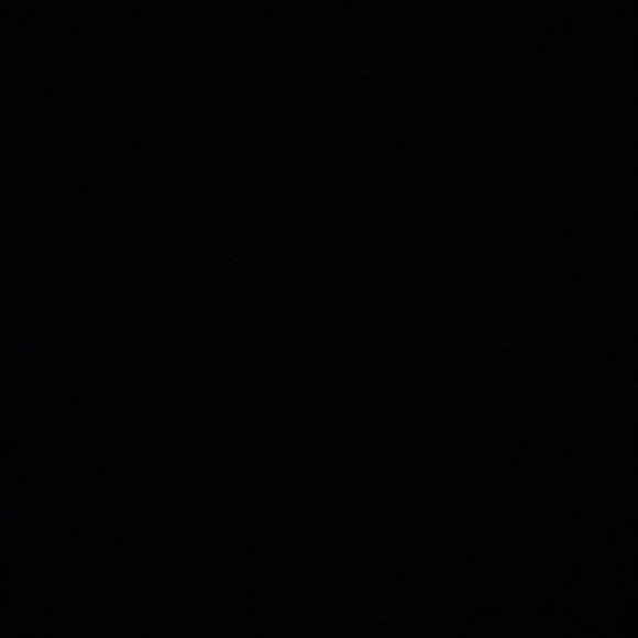 Meet your Posher, Erica - Picture 1 of 1